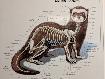 Photos of East Hilliard Veterinary Services