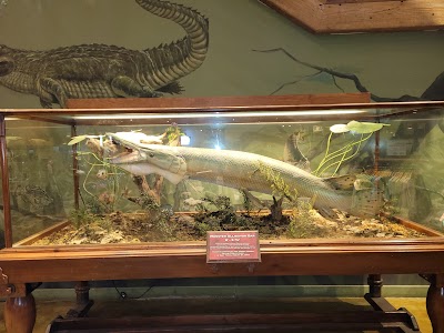 Bass Pro Shops