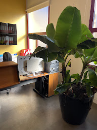 Photo n°14 de Cabinet Dentaire Gabriel Peri à Vénissieux (Cabinet dentaire)