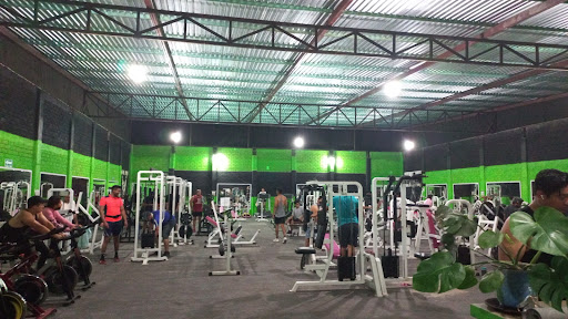 Gold Gym the Big Dog - Thumbnail