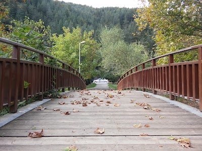 Photos of Kocaeli City Forest