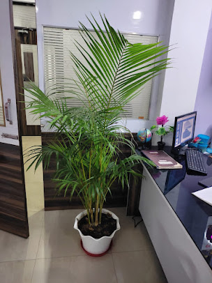 Af1qipplbewnavny Kilprfrdzvu4weqhftofa3fe5x6=s406 K No