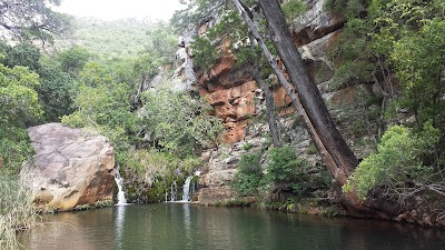 Photos of Idube Game Reserve
