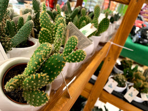 Photo n°12 de E.Leclerc ARLES à Arles (Magasin d'alimentation bio)