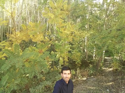 Photos of Forest Park Tandooreh