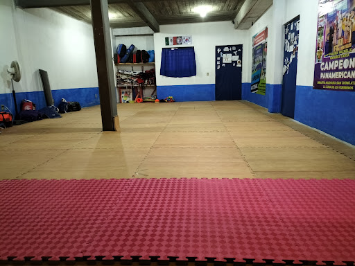 Dinastía Milenaria Sam Chong TKD - Thumbnail