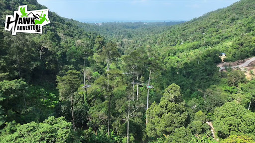 Hawk Adventure Zipline Park Koh Samui