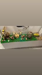 Photo n°18 de Crèperie La Bigouden à Commercy (Saladerie)