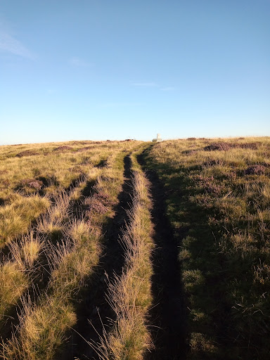 High Brown Knoll - Thumbnail