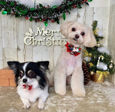 ドッグサロン pure(ピュア) 連島本店