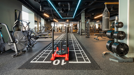 David Lloyd Kingston