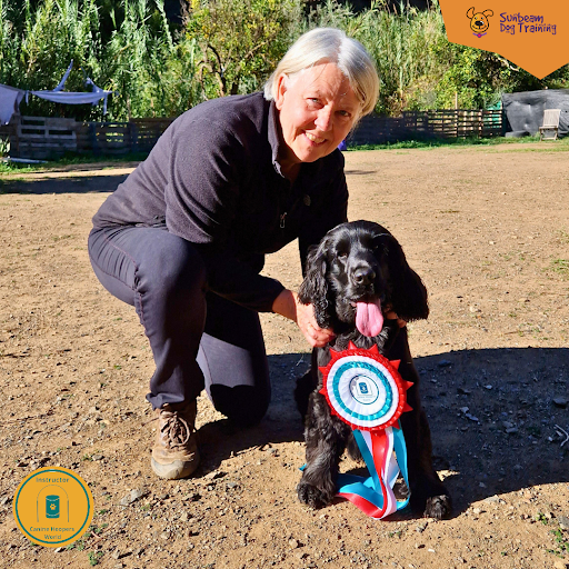Sunbeam Dog Training & Behaviour