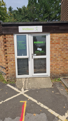 Wellness Sports Massage - Thumbnail