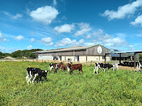KEROUGAS FERME à Herbignac