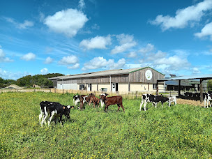 Photo n°1 de KEROUGAS FERME à Herbignac (Fromagerie)
