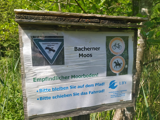 Bacherner Moos - Visual
