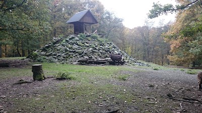 Photos of Wildlife park "Tiergarten Weilburg"