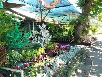 Photos of Vivero Y Acuario Las Palmeras