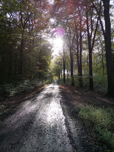 Parkplatz Andachtwald - Thumbnail