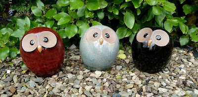 Photos of Cottage Garden Centre