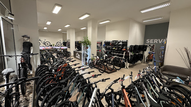 OFBIKE prodej a servis kol