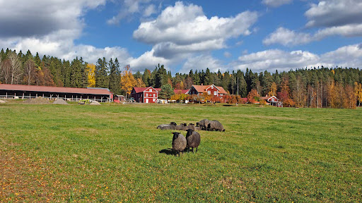 Bäcktorps Gård - Visual