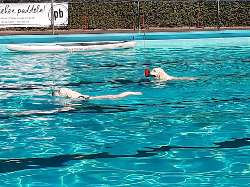 Bad Oeynhausen pool - Thumbnail