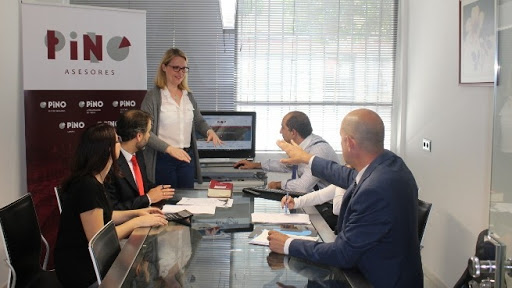 PINO GESTION Y ASESORAMIENTO S L