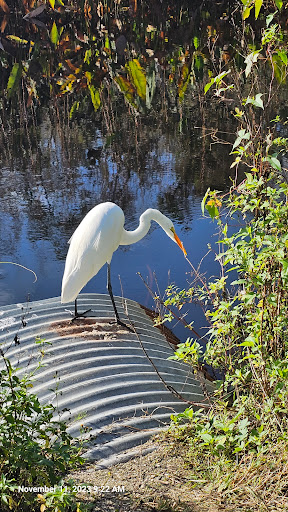 CREW Wildlife and Environmental Area - Thumbnail
