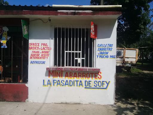 Mini Tienda "La Pasadita De Sofi". - Mexico