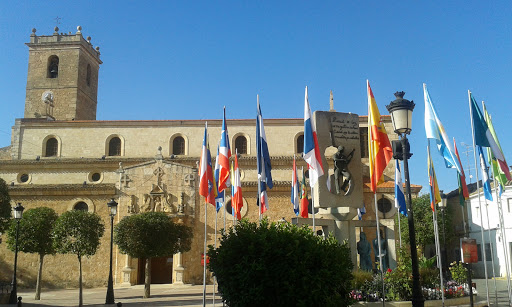 Municipal Auditorium Casasimarro - Thumbnail