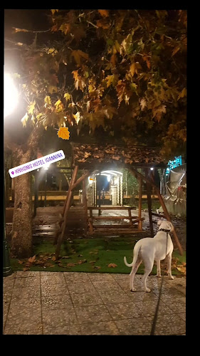 KRIKONIS HOTEL- IOANNINA ΞΕΝΟΔΟΧΕΙΟ - Ιωάννινα