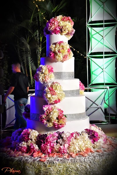 Photos of Eventos Plasma