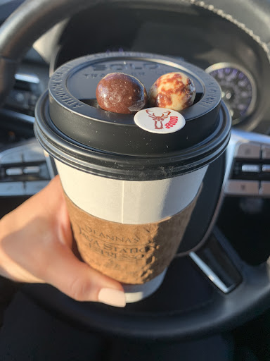 Deanna's Java Station - Visual
