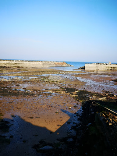 Staithes Studios Gallery - Thumbnail