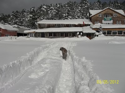Photos of Baysal Motel