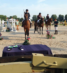 Photo n°13 de Centre Equestre - Poney-Club La Courbette à Boissy-sous-Saint-Yon (Pension pour chevaux)