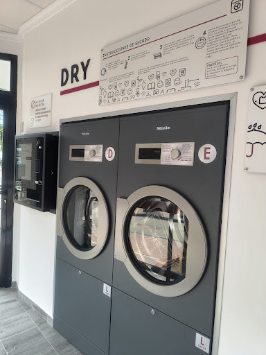 Lavanderia Bloomest Antequera