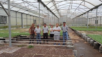 Photos of Zarcero Agricola Laguna