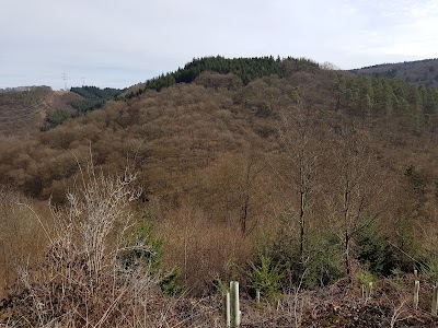 Photos of Wild-Freizeitpark-Westerwald