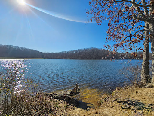 Yellowwood State Forest - Thumbnail