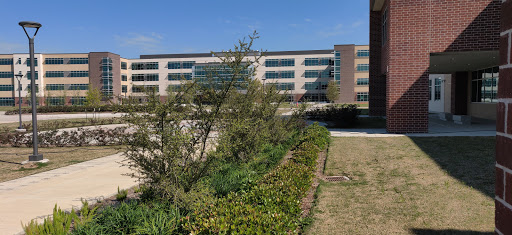 Wells Elementary School - Visual