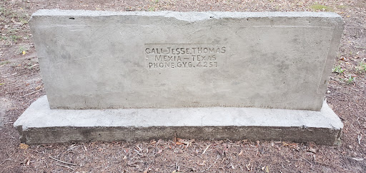 Springfield Cemetery - Visual