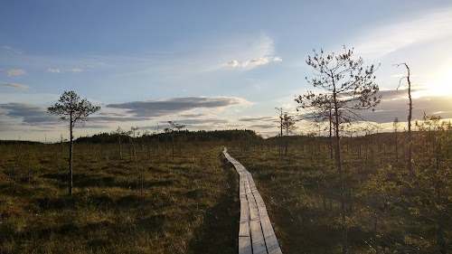 Meenikunno trail