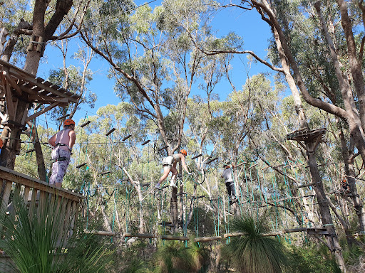 Treetops Adventure Yanchep Gallery - Australia
