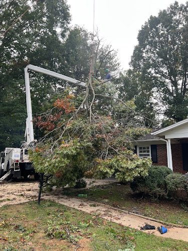 FIRST CHOICE TREE CARE