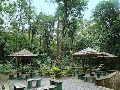 Photos of Papillote Wilderness Retreat