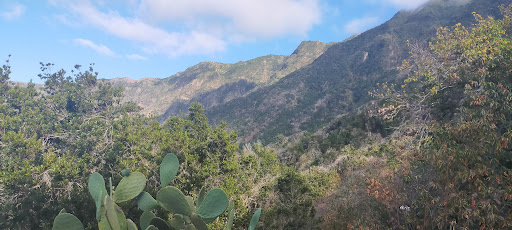 Tramo Sendero Los Llanillos-San Salvador - Thumbnail