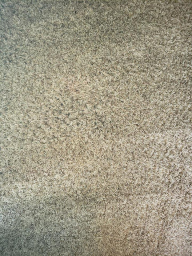 Crystal Ball Carpet Cleaning - Thumbnail