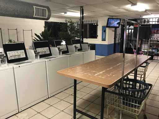 Bertha Laundry - Visual
